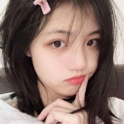 我的小狗斯齐普